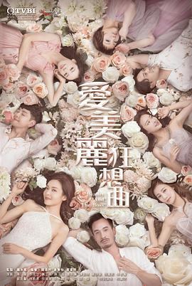 爱美丽狂想曲粤语第21集