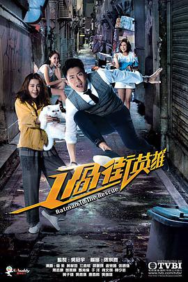 过街英雄粤语第17集