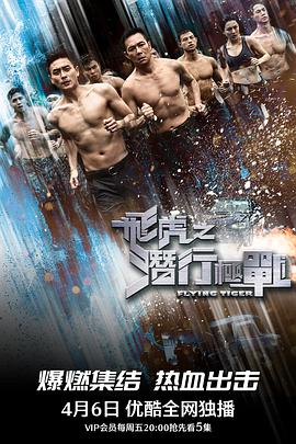 飞虎之潜行极战粤语第17集