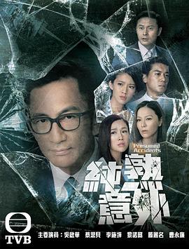 纯熟意外粤语第17集