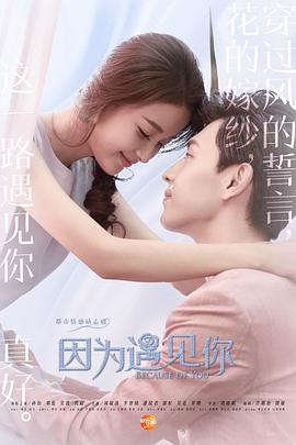 因为遇见你第19集