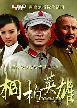 桐柏英雄第14集