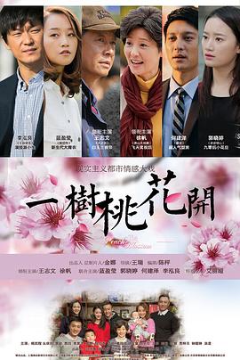 一树桃花开王志文版第39集