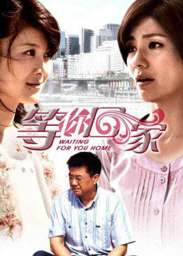 我在等你回家第12集