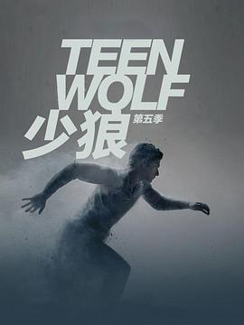 少狼第五季第12集