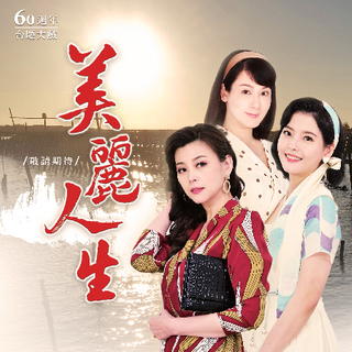 美丽人生台版第275集