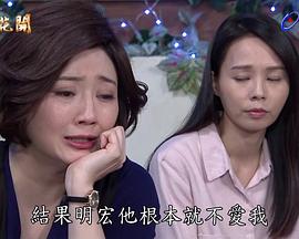牡丹花开第88集