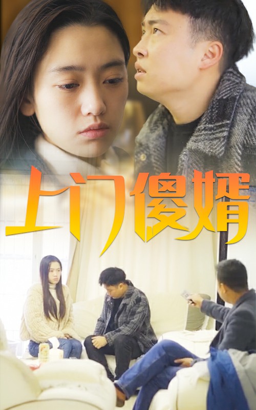 上门傻婿720P