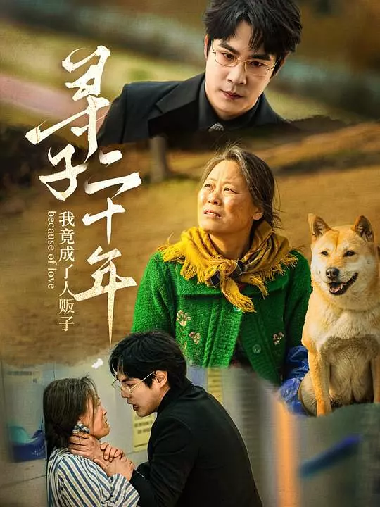 寻子二十年，我竟成了人贩子(全集)