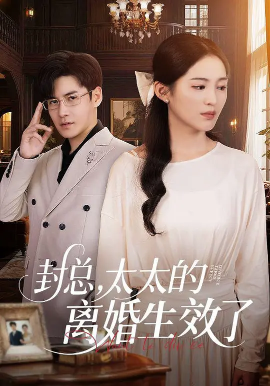 封总，太太的离婚生效了(全集)